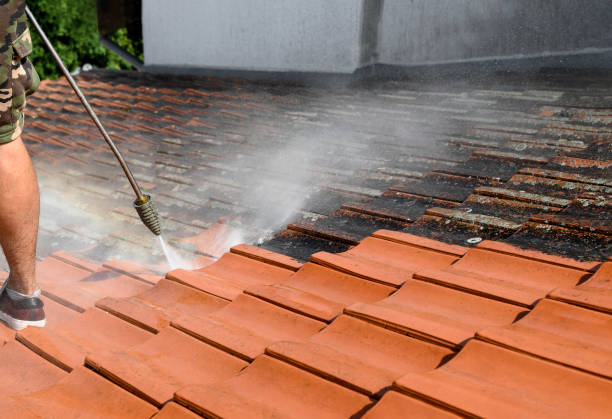 Best Pressure Washing Estimates  in Lorton, VA