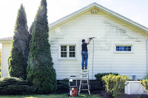 Best Deck Cleaning Services  in Lorton, VA