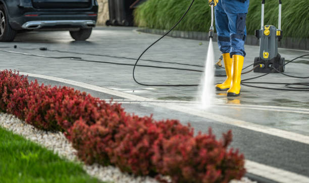 Best Roof Pressure Washing  in Lorton, VA